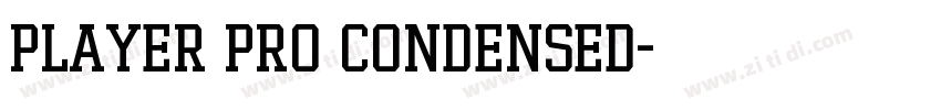 Player Pro Condensed字体转换